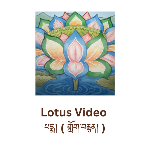 lotus video from tea house conversations